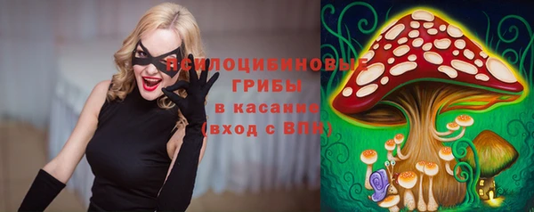 винт Алексин