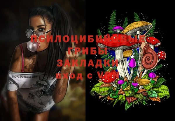 прущая мука Алзамай