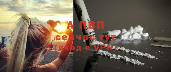 винт Алексин