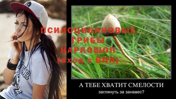 винт Алексин