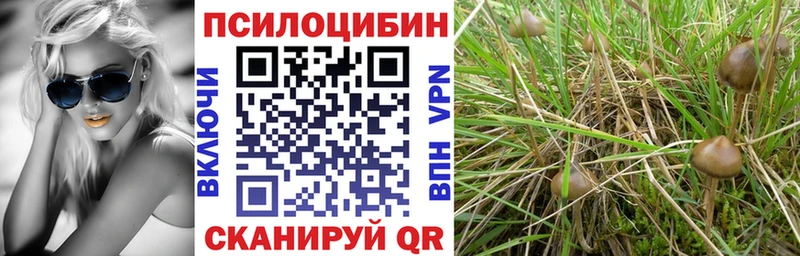 Псилоцибиновые грибы мухоморы  дарнет шоп  Киров 